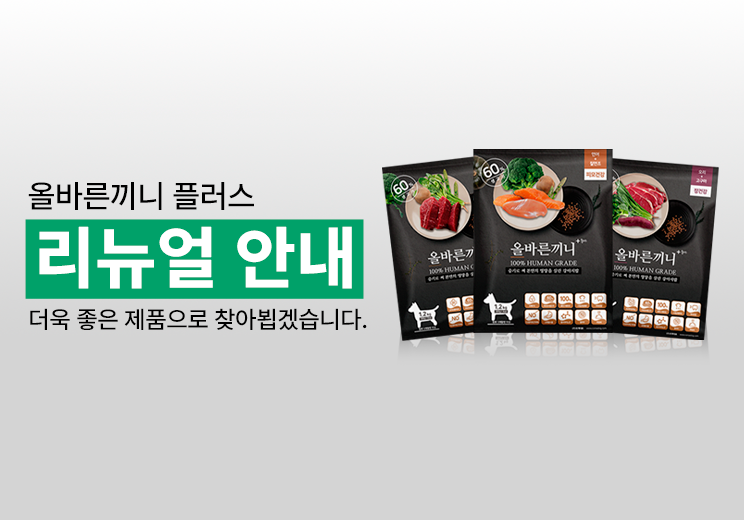 올끼 리뉴얼